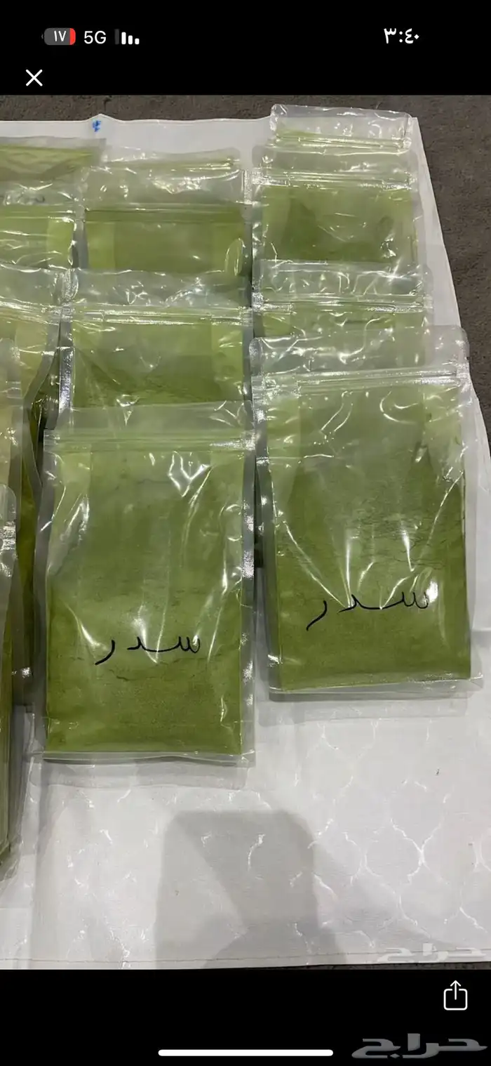 سدر اصلي من مزراع الثمد 1