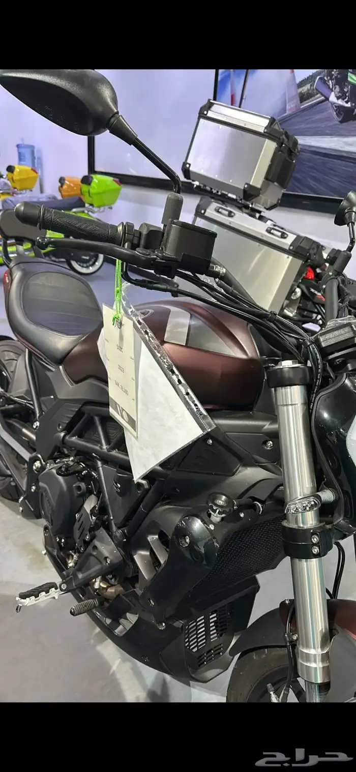 دباب بنلي إيطالي 502c 8