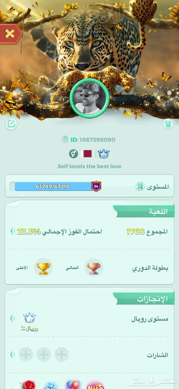 حساب لودو 1