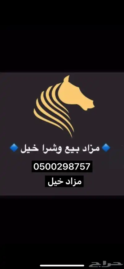 مزاد خيل 0