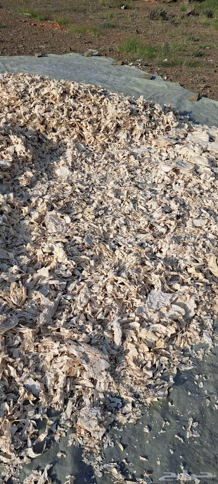 خبز للحلال يابس ونظيف 1