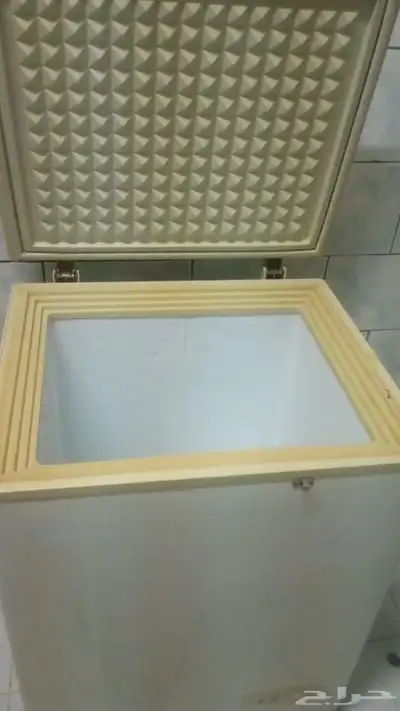 فريزه مجمده 1