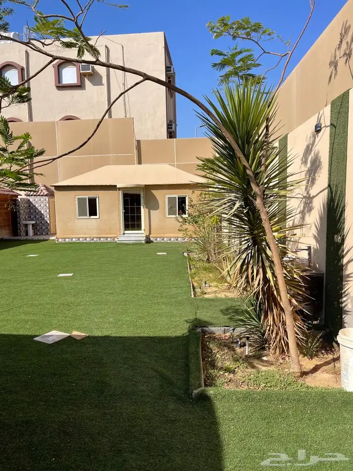 شاليه كوخ زهره الجبل 5