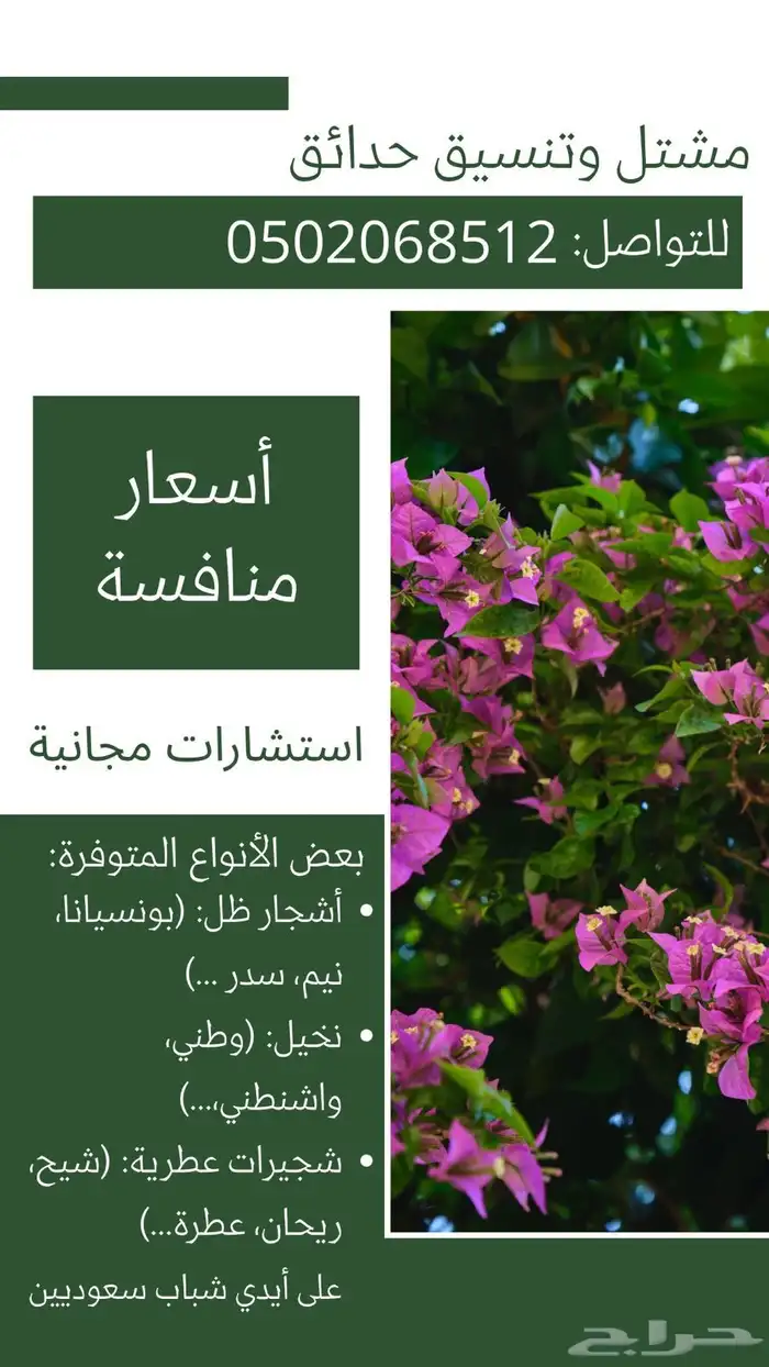 مشتل الحديبية لبيع الأشجار و الشتلات 0