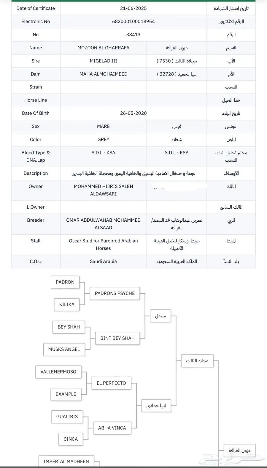 فرس بنت البطل مجلاد الثالث وبنتها 2