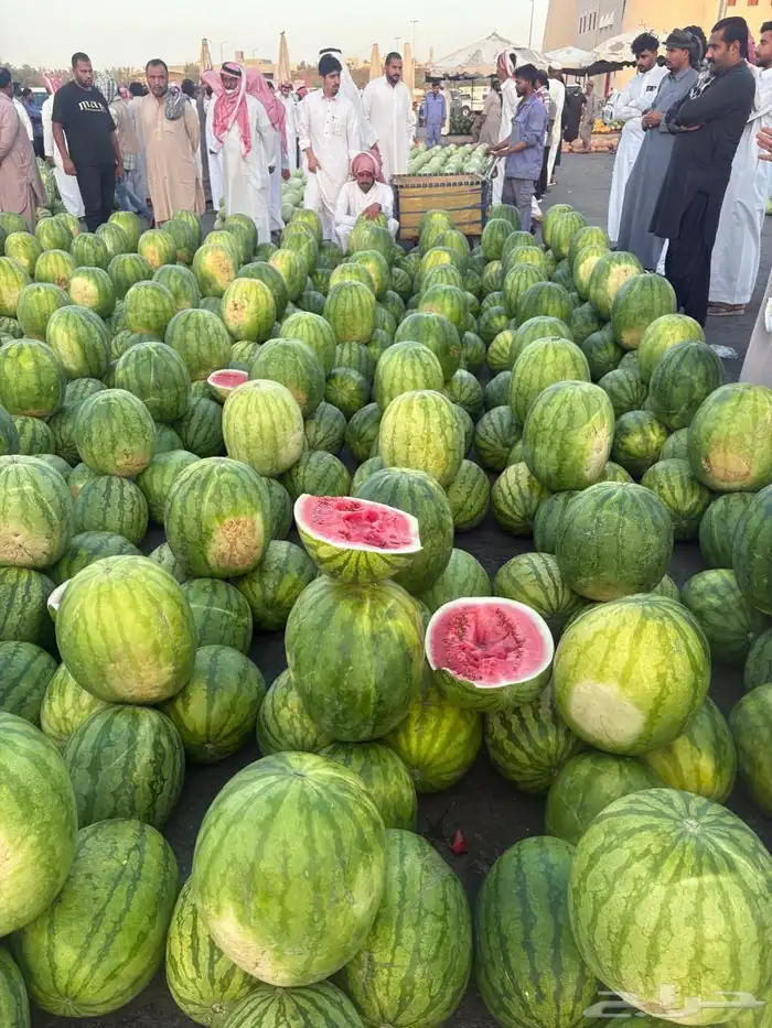 حبحب شمام حسب الطلب حاليا في سوق القصيم للطلب التواصل واتس 0