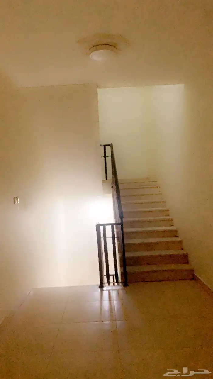 سيارة للايجار 17