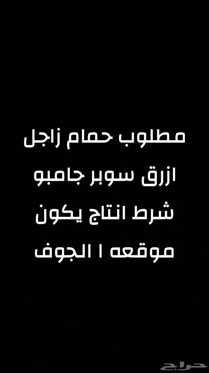 مطلوب حمام زاجل سوبر جامبو من20جوز وتحت او سباق 0