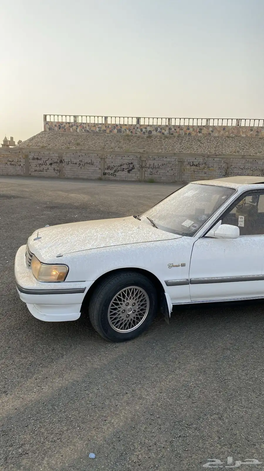 كرسيدا 6