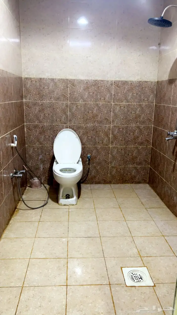 شاليه استراحه للايجار 4