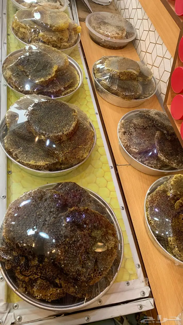 قرصان سمره 0