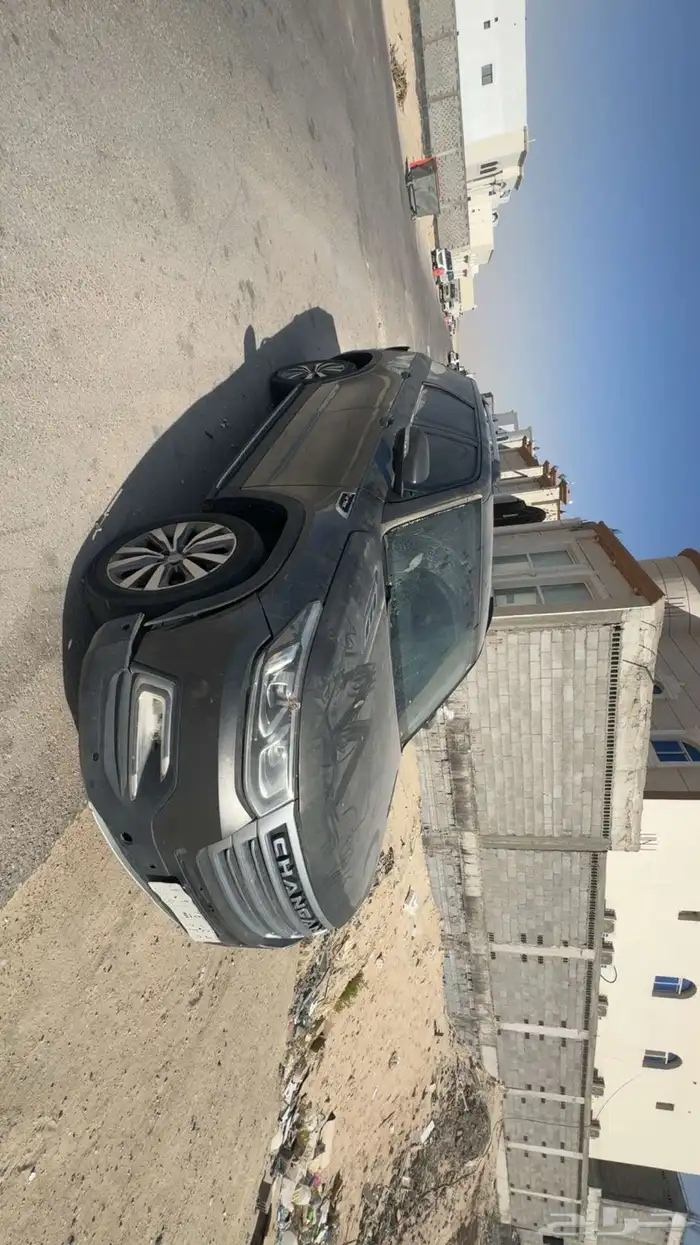 صيني 10