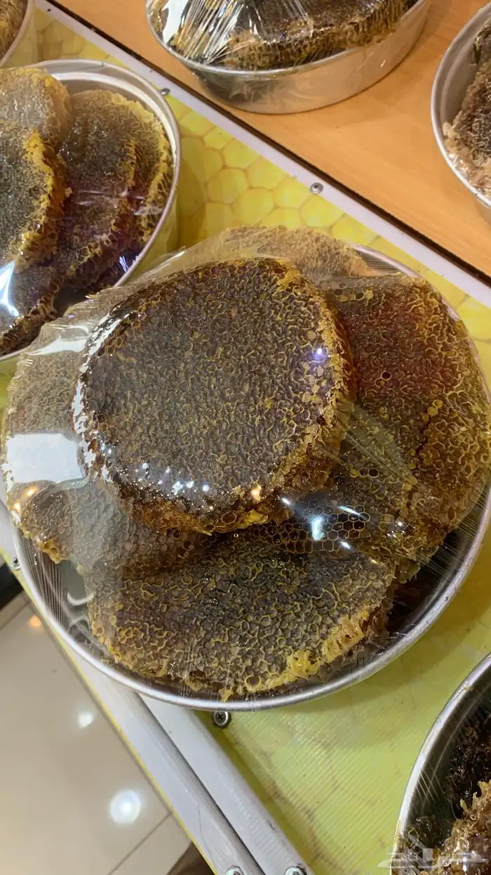 قرصان سمره 1