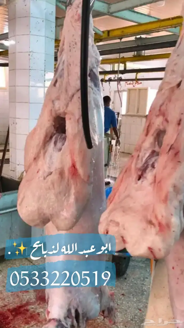 ذبايح نعيمي حري مفطح ثلاجه شامل ذبح توصيل 5