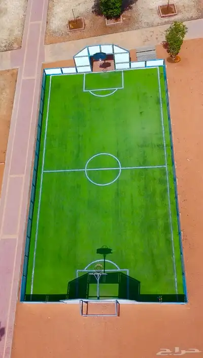 تصوير درون طائرة مصرحه 0