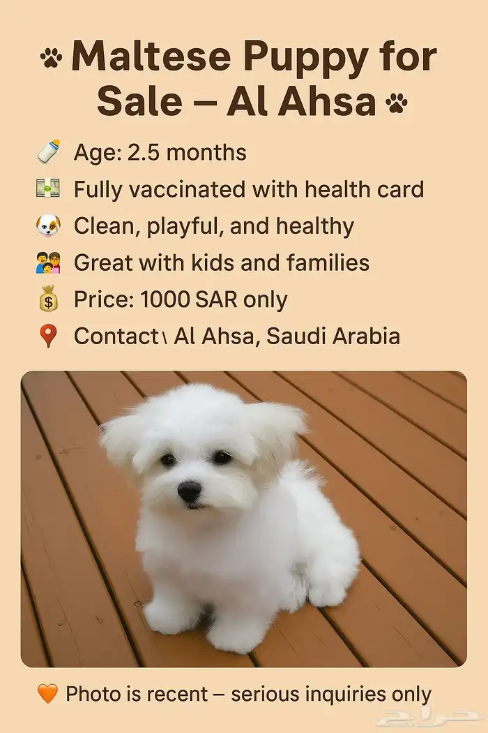مستورد و السعر ما راح يتكرر الحق قبل يفوتك 2