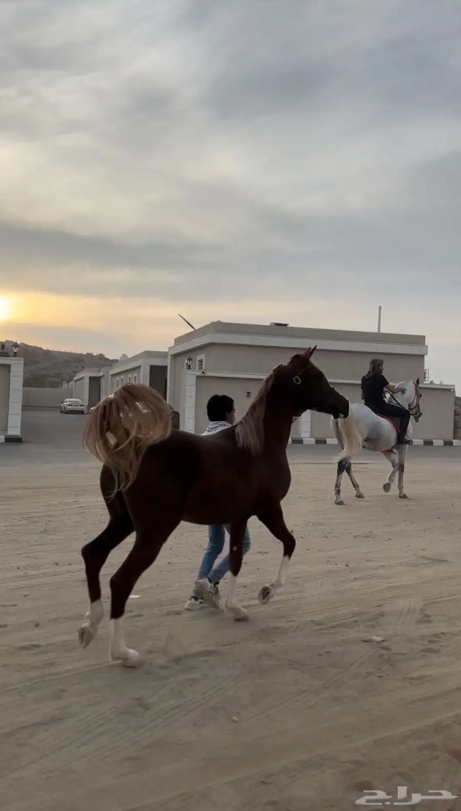 مهره مكس 4