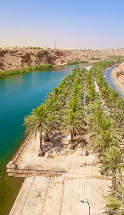 تصوير درون طائرة مصرحه 4