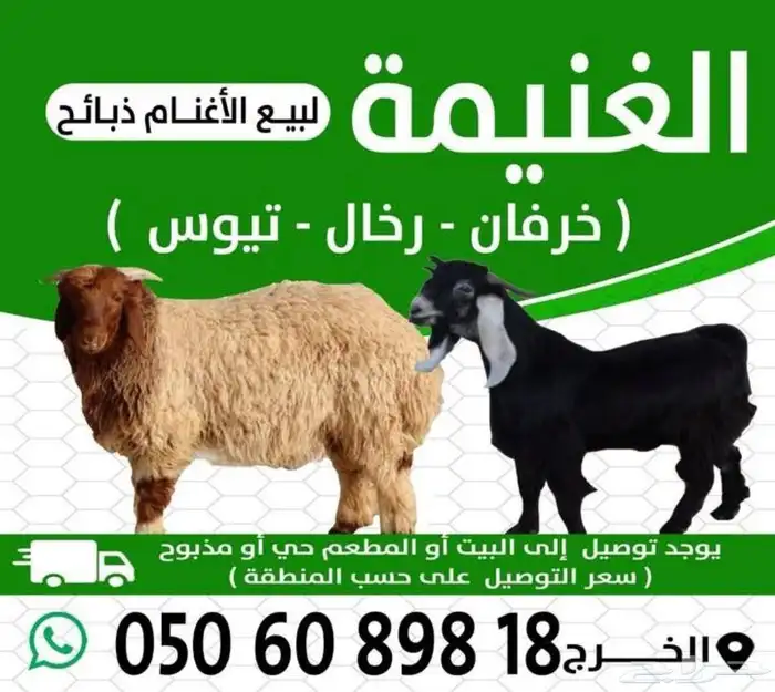 الغنيمة لبيع الأغنام - الخرج 0