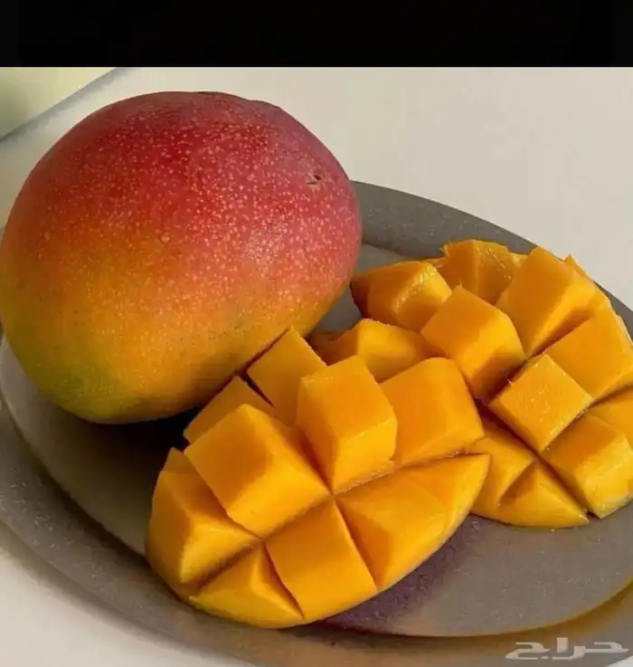 مانجو جيزاني 3