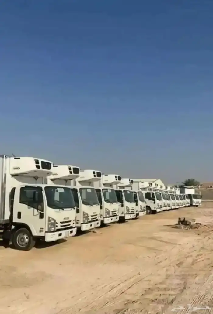 للإيجار دينات تبريد تجميد 0