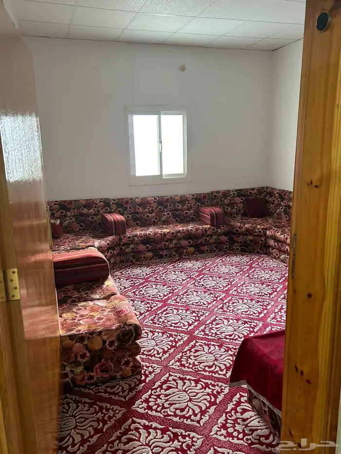 فلة سياحية موسمية للإيجار ابها 15