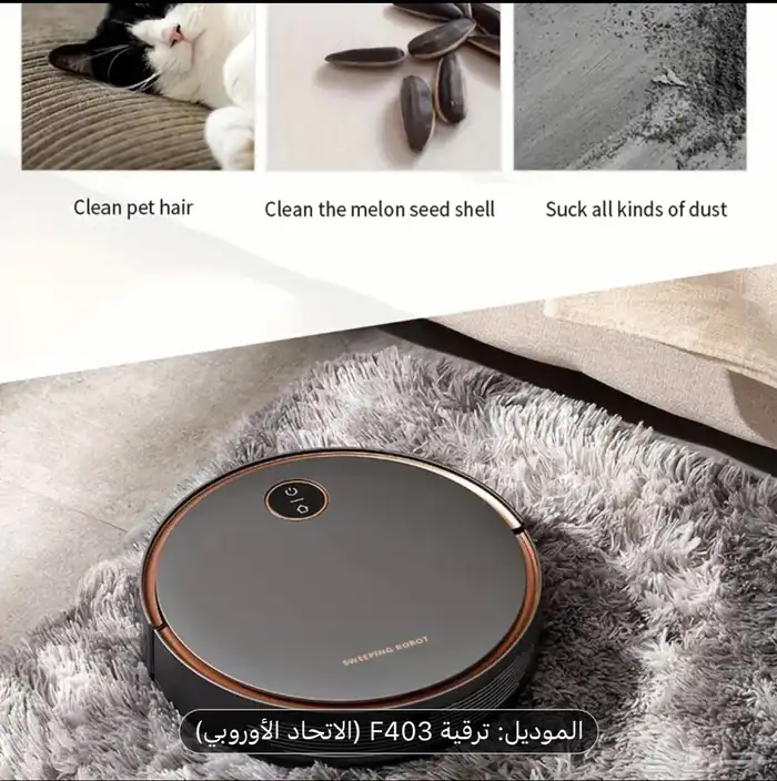 المدينة المنورة 6