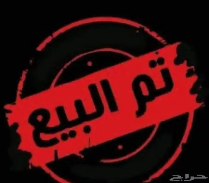 دجاج بلدي 0
