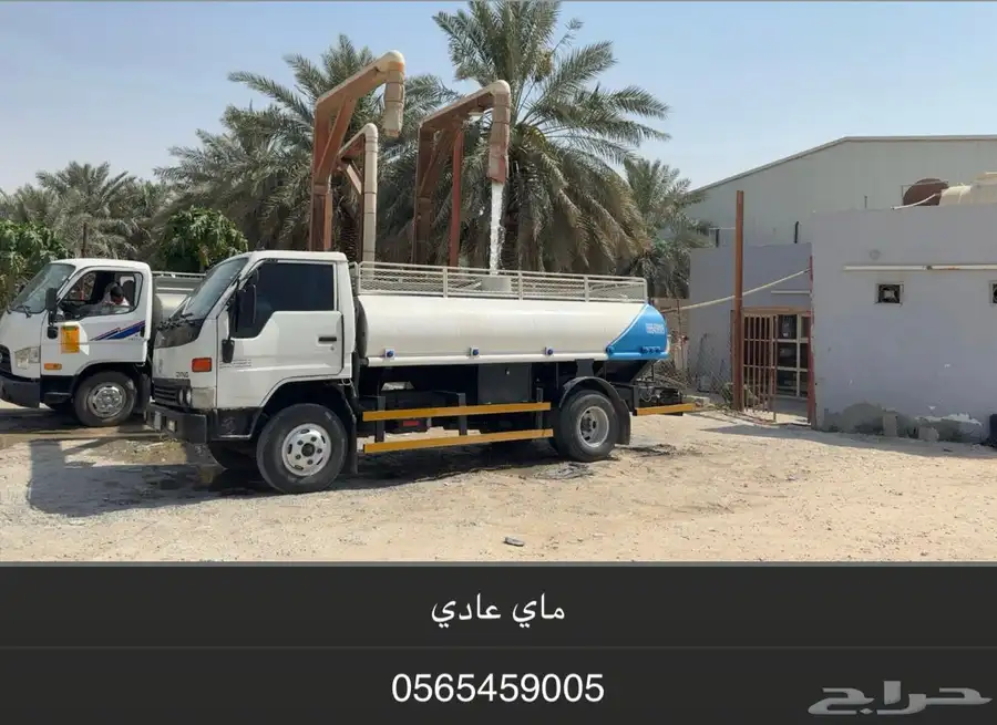 وايت ماي ( عادي ) 0