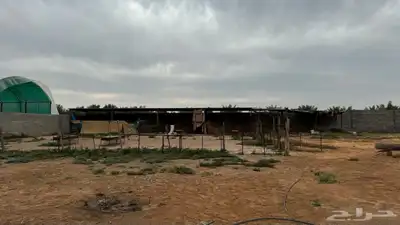 للبيع مزرعة القصيم ( المليدا الشمالية ) وغيرها الكثير 3