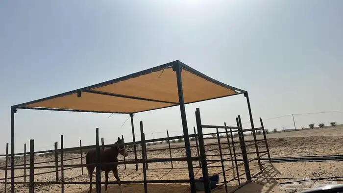 مظلات ابل مظلات غنم 18