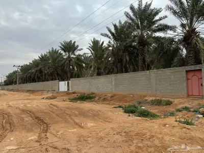 للبيع مزرعة القصيم ( المليدا الشمالية ) وغيرها الكثير 19