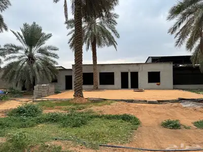 للبيع مزرعة القصيم ( المليدا الشمالية ) وغيرها الكثير 12
