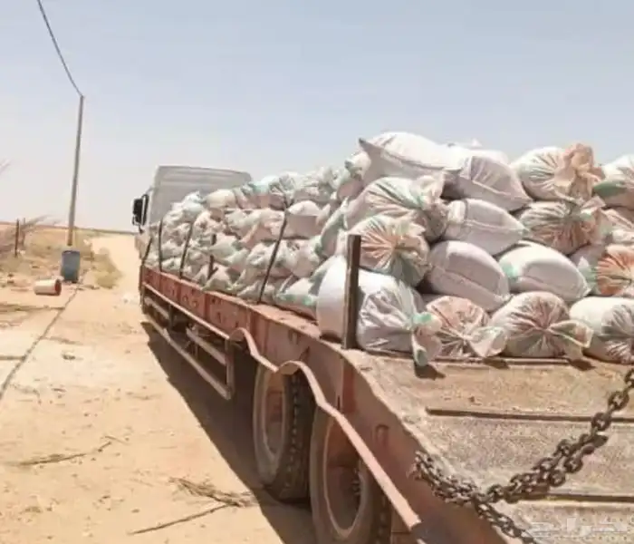 علف نوى مجروش مع التمر 3