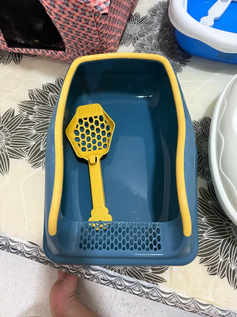 cat house and litter box 12