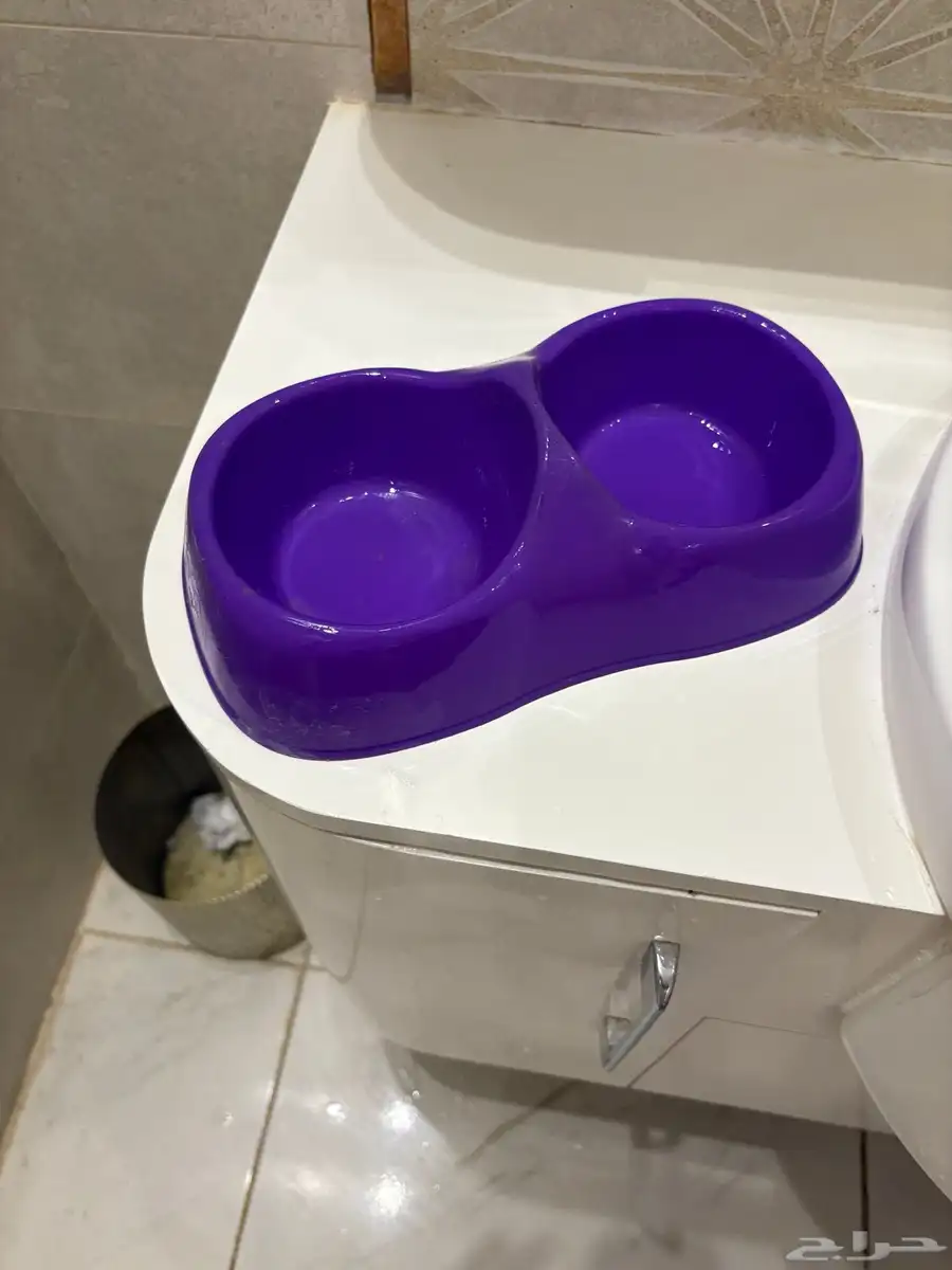 بيت بسه 3