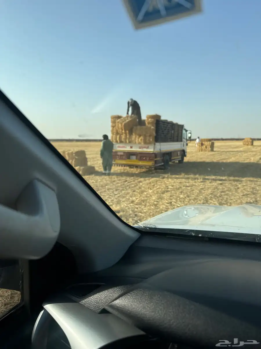 تبن قمح شد 90 2