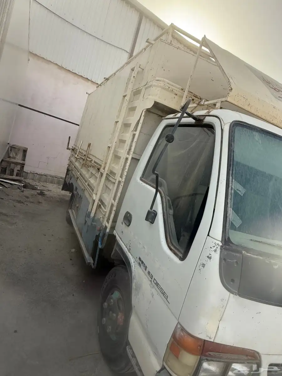 دينا ايسوزو 2001 2