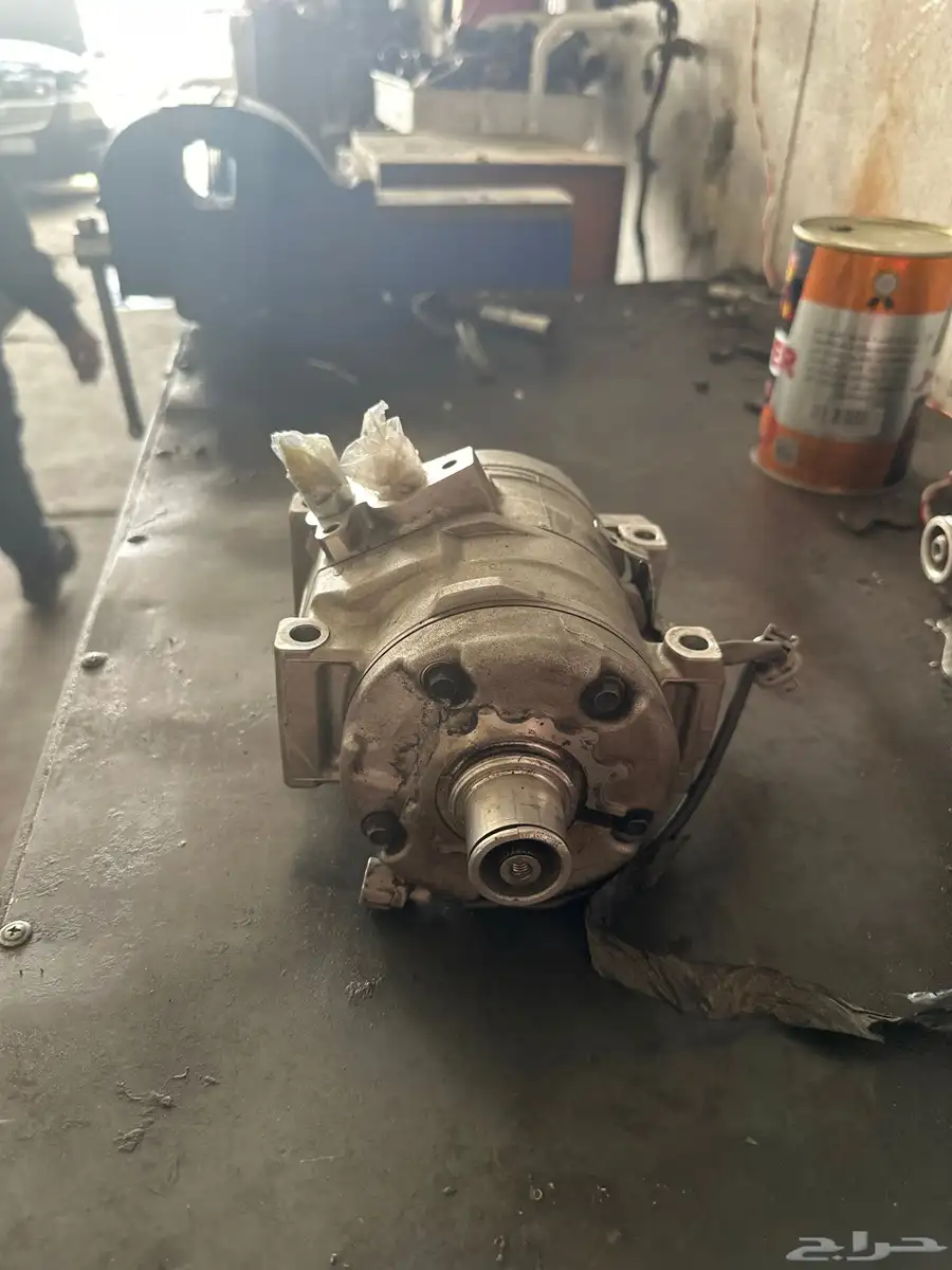 كمبروسور برادو 2