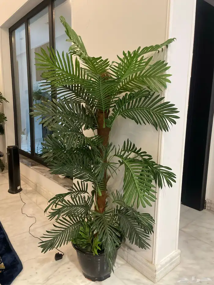 زرع صناعي نظيف 2