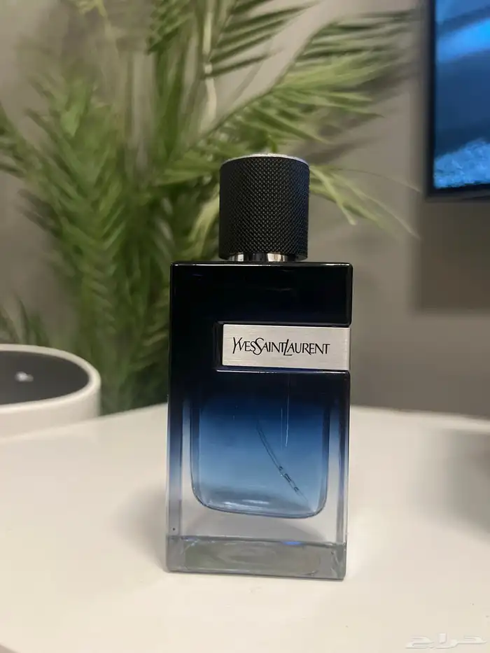 عطر ( Y ) من واي اف سان لوران 100 مل ( مباع ) 0
