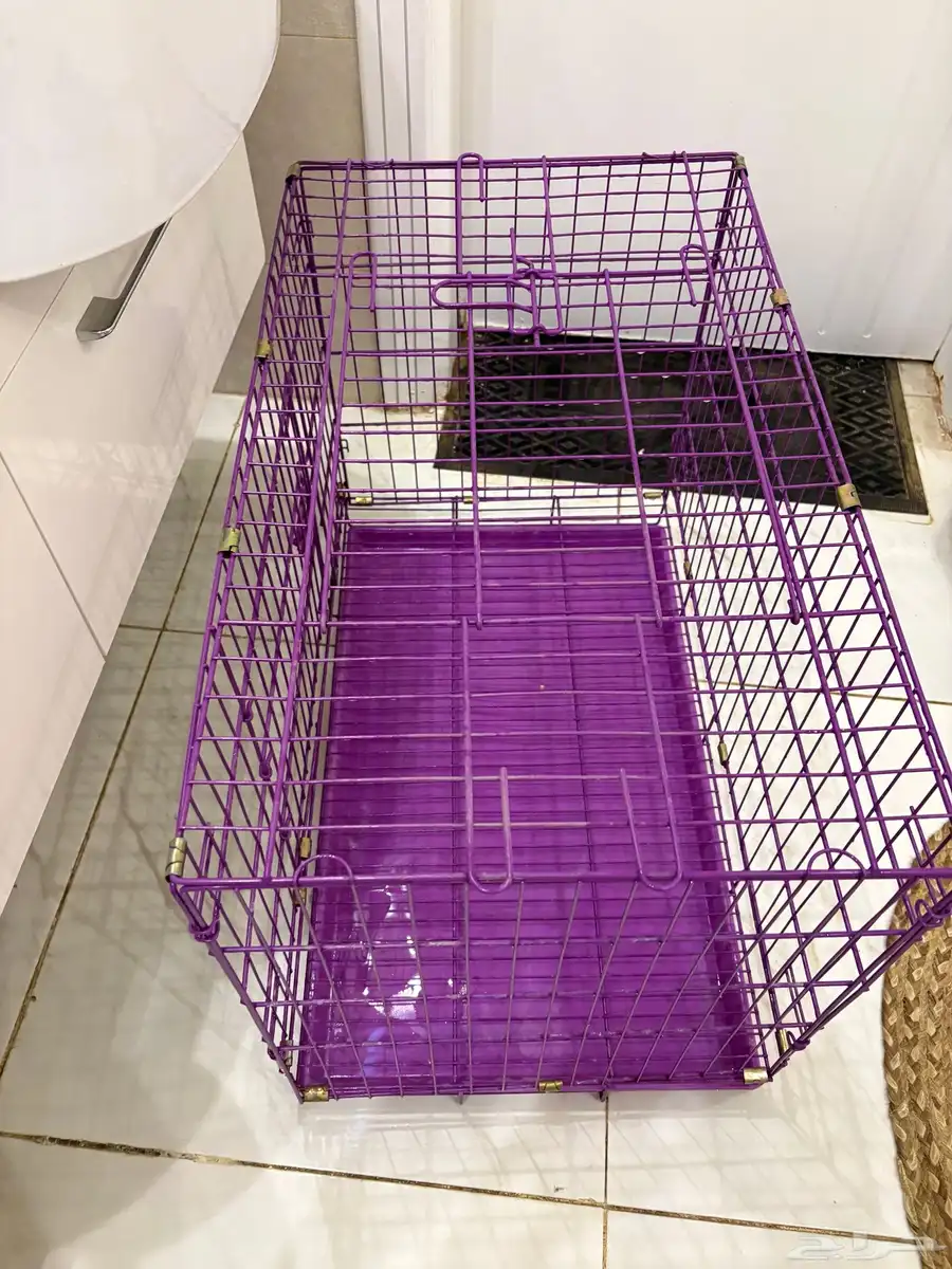 بيت بسه 1