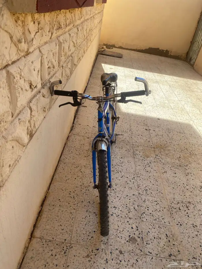 سيكل للبيع نضيف ميشكو من اي شي 1