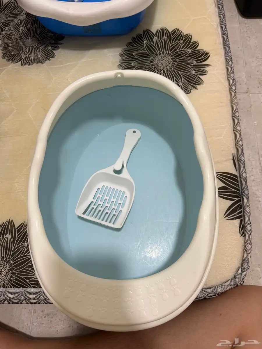 cat house and litter box 9