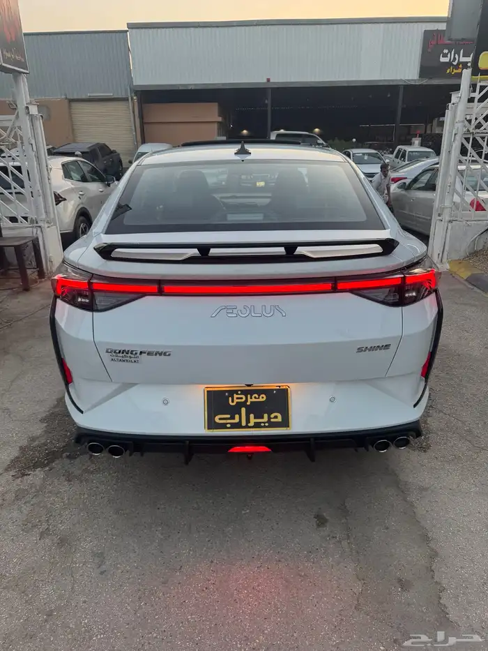 دونج فينج شاين 2024 ( تم البيع ) 6
