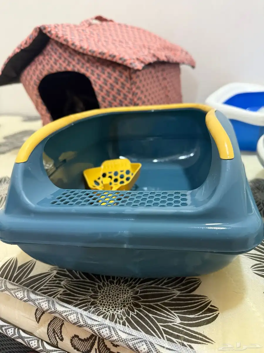 cat house and litter box 11