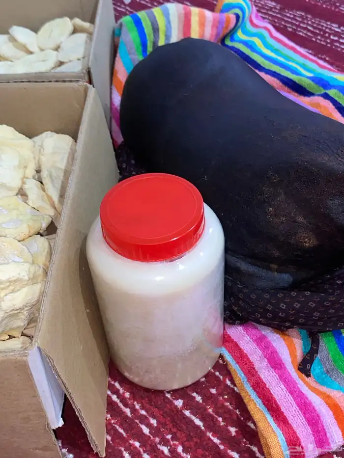 عكة سمن وبقل معزاء 0