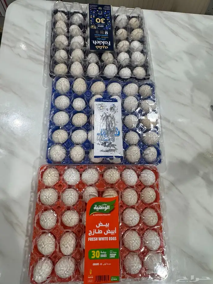 بيض بلدي الطبق 30 2