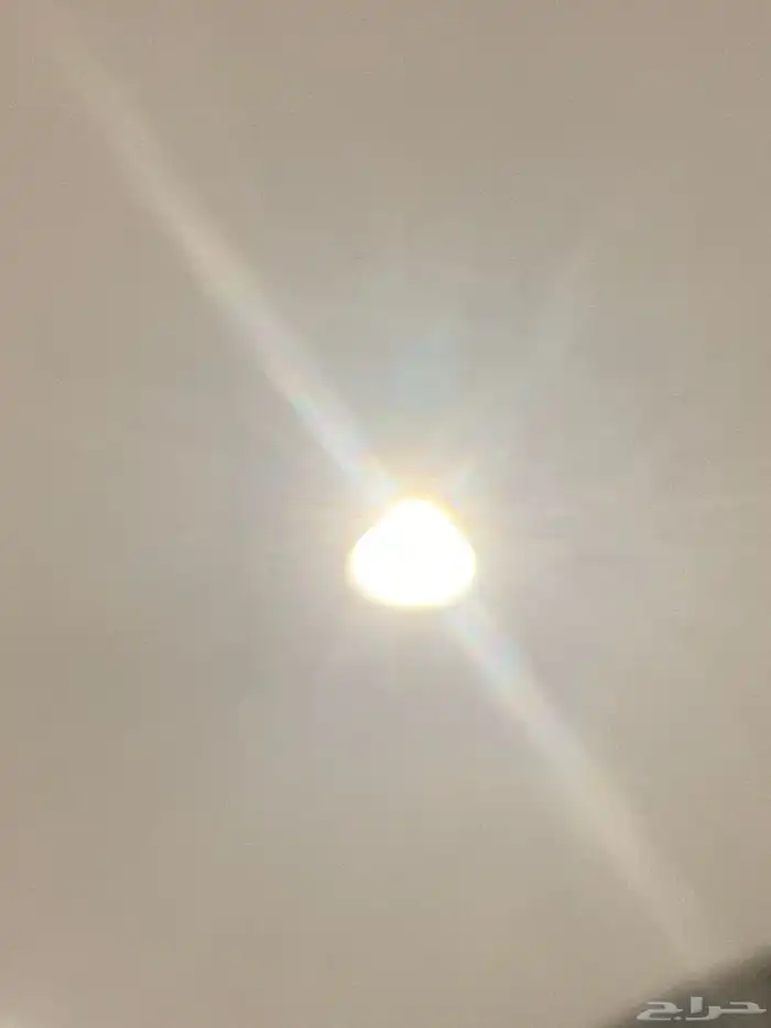 رخصة قمح 425 0
