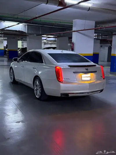 كدلك XTS بلاتينيوم 2013 index